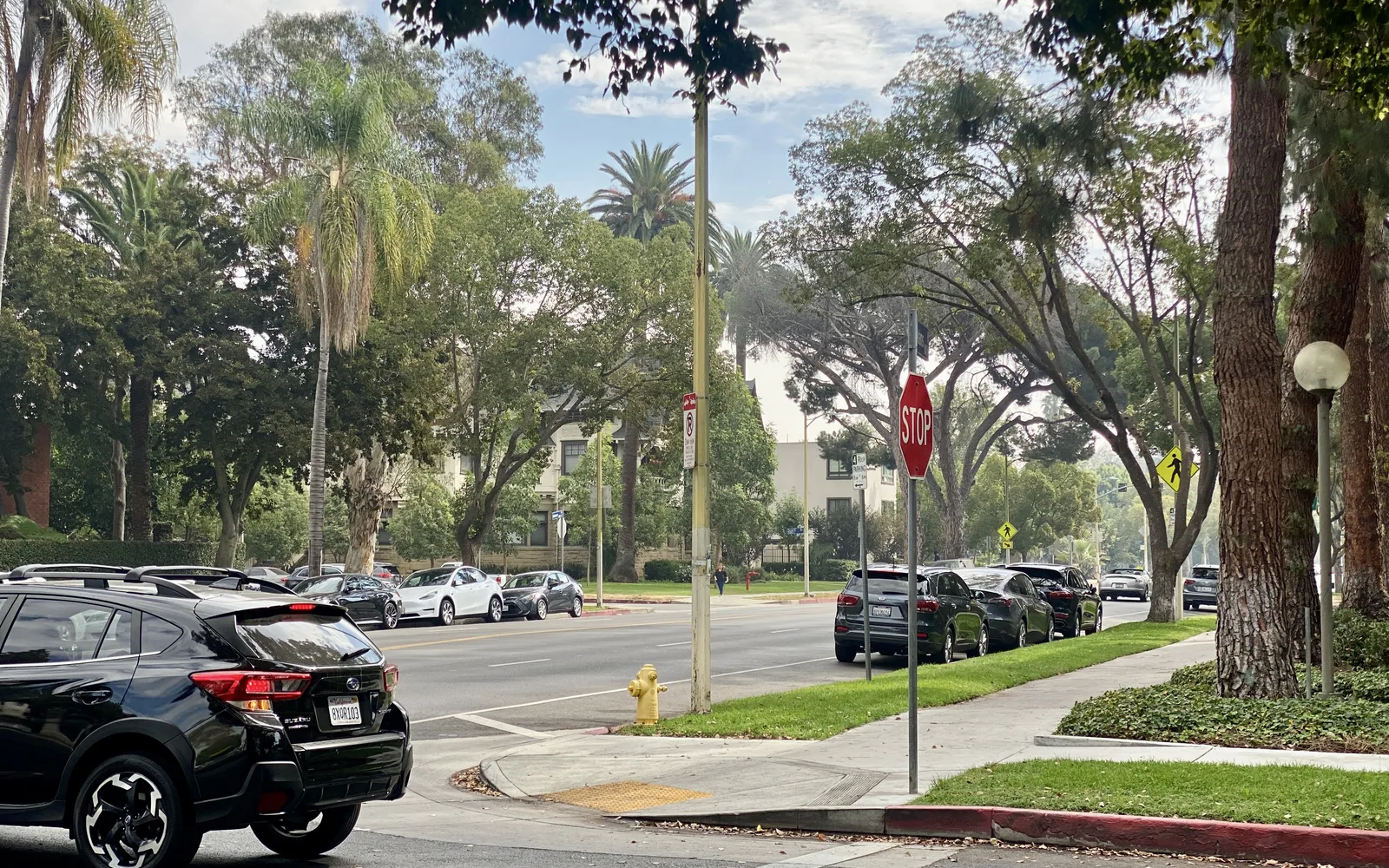 A peaceful tree-lined residential street in a Southern California suburban neighborhood with carefully maintained homes